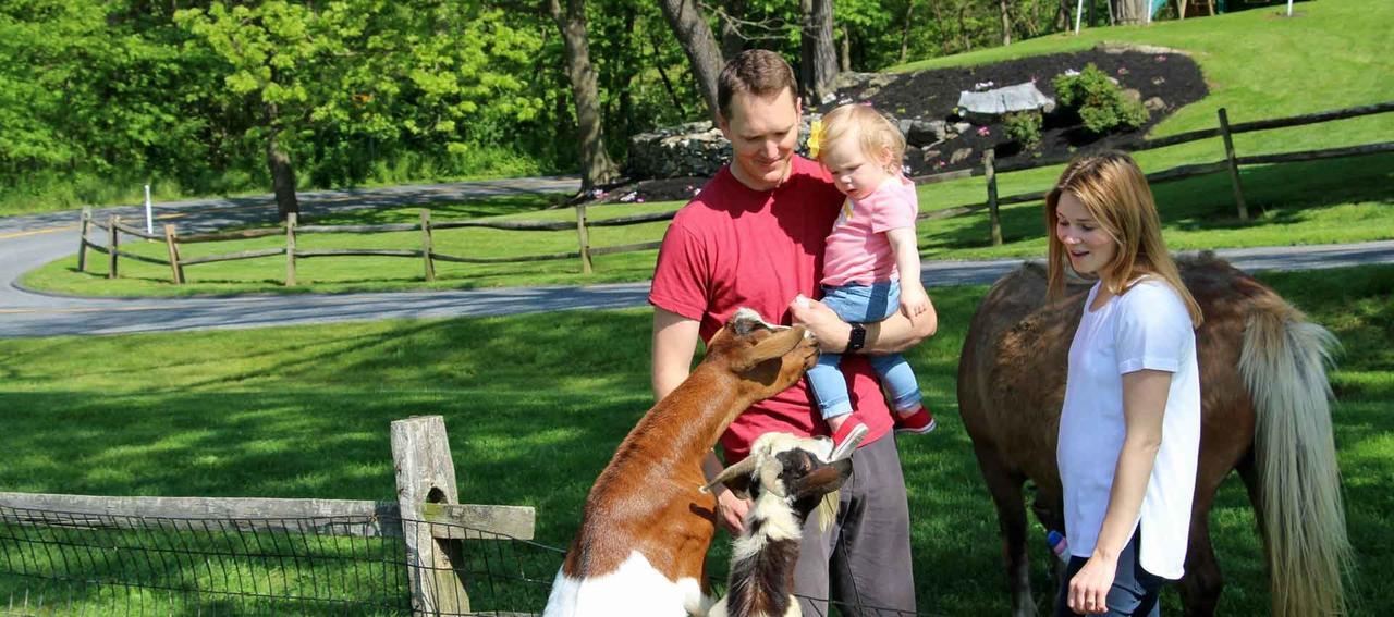 Rocky Acre Farm Bed & Breakfast Mount Joy Bagian luar foto
