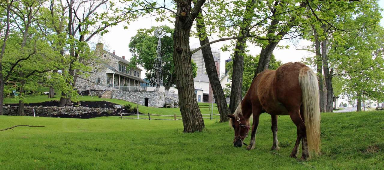 Rocky Acre Farm Bed & Breakfast Mount Joy Bagian luar foto